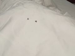 -苏州西交利物浦大学国际会议中心