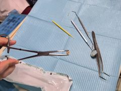 -艾维口腔(春江花月门诊部)