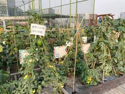 -梦田都市农场(银泰城店)