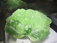 -湖南省地质博物馆