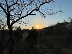 -北京西山国家森林公园