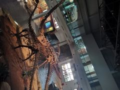 -自贡恐龙博物馆