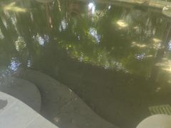 -水底山庄园温泉