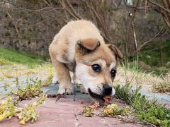 -南京金牛湖风景区