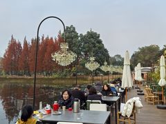 -白鹭湾湿地公园