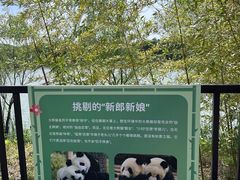 -苏州太湖国家湿地公园