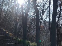 -紫金山天文台
