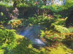 -Chom Cafe and Restaurant