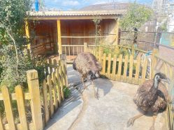 -三分地生态园·儿童乐园