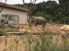 -宁波野生动物园