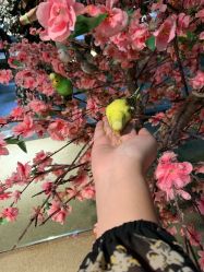 -酷嗒动物文化乐园(cutezoo西溪乐天城店)