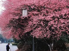 -木守西溪溪隐餐厅