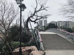 -光明港公园