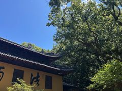 -普陀山风景名胜区-法雨禅寺
