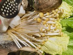 -春润大地海南椰子鸡(沙井京基百纳广场店)