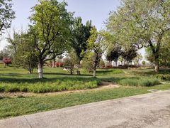 -汉长安城未央宫国家考古遗址公园