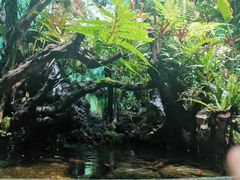 -太平洋海底世界