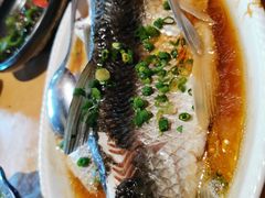 -园林美食城·本土农家菜(杨和镇店)