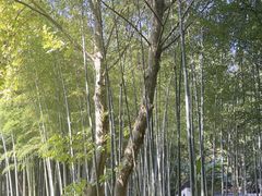 -兰亭风景区