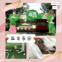 -萌宠亲子动物乐园(槐房万达店)