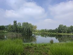 -东郊湿地公园