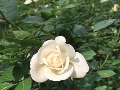 -人民公园(罗湖区)