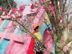 -秀丽东方