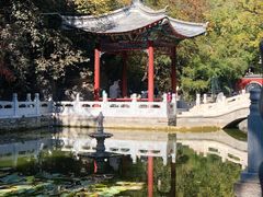 -八大处公园