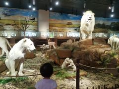 -陕西自然博物馆