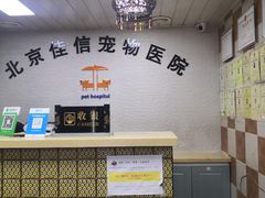 -北京佳信宠物医院