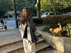 -COTTON CAFE(德信·中外公寓店)