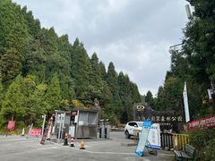 -武陵山森林公园