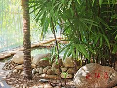 -三江森林温泉度假区