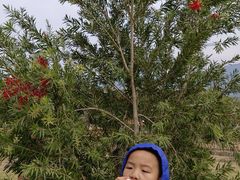 -福建土楼（南靖）云水谣景区-和贵楼