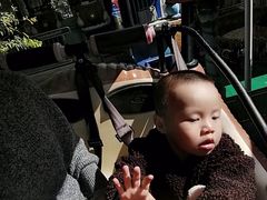 -东湖公园游乐场