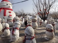 -葫芦古镇关东民俗雪乡