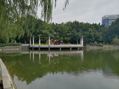 -竹湖园公园