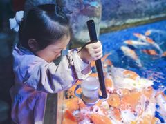 -左海海底世界