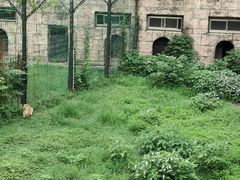 -南昌动物园