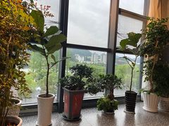 -新安人家·22年本地餐厅
