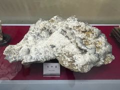 -延庆地质公园博物馆