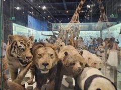 -浙江自然博物院(杭州馆)