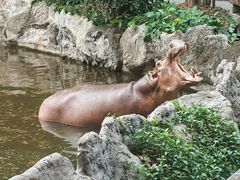 -清迈夜间动物园