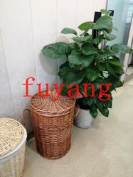 -Yestar杭州艺星医疗美容医院