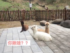 -宁波野生动物园