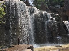 -上海鲜花港