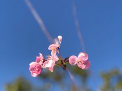 -秦皇岛路游船码头