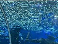 -波塞冬旅游度假区