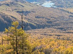 -洮儿河国家湿地公园