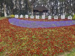 -新洲生态园